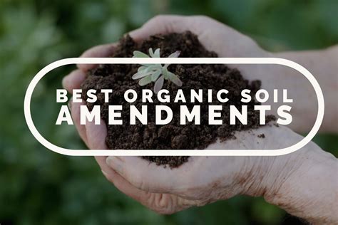 Organic Soil Amendments